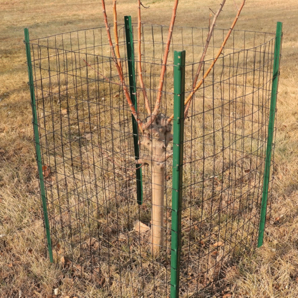 Tinamo Bandeja de bañera de acacia | Bandeja grande de madera para bañera de 35 x 9 pulgadas - Imagen 3