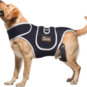 Soporte de espalda para perro para IVDD y disco deslizado, soporte de espalda para perros grandes, IVDD y soporte de hernia de disco, estabilidad espinal y alivio del dolor, XL