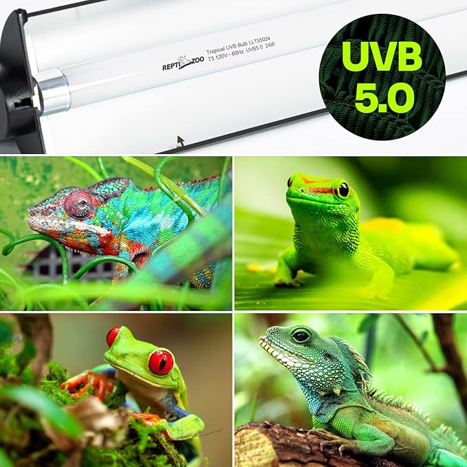 Lámpara UVB REPTI ZOO T5 HO de 24W, ideal para terrarios de reptiles tropicales. Incluye bombillo UVB 5.0 T5, reflector curvo desmontable y cable removible con interruptor. - Imagen 5