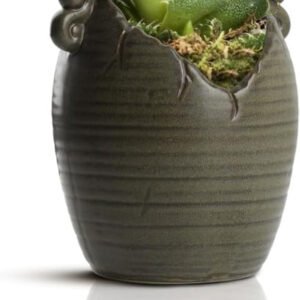 Maceta retro de cerámica para suculentas, ideal para interiores y exteriores. Maceta para cactus con orificio de drenaje, perfecta para la decoración del hogar y la oficina. Color marrón.